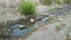 Landscape irrigation run-off at Town Center Dr. & Alta
